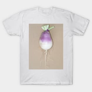 Freshly harvested turnip (Brassica rapa subsp. rapa) taproot T-Shirt